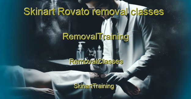 Skinart Rovato removal classes | RemovalTraining | RemovalClasses | SkinartTraining-Italy