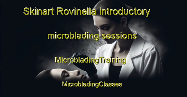 Skinart Rovinella introductory microblading sessions | MicrobladingTraining | MicrobladingClasses | SkinartTraining-Italy