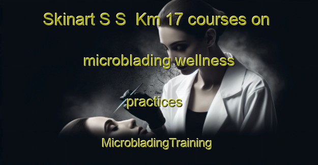 Skinart S S  Km 17 courses on microblading wellness practices | #MicrobladingTraining #MicrobladingClasses #SkinartTraining-Italy