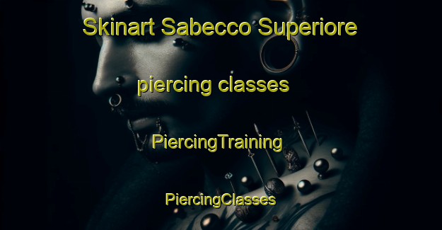 Skinart Sabecco Superiore piercing classes | #PiercingTraining #PiercingClasses #SkinartTraining-Italy