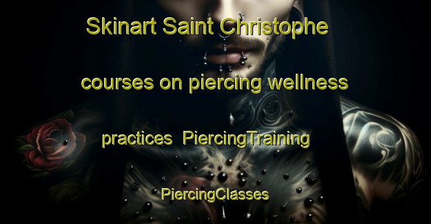 Skinart Saint Christophe courses on piercing wellness practices | #PiercingTraining #PiercingClasses #SkinartTraining-Italy