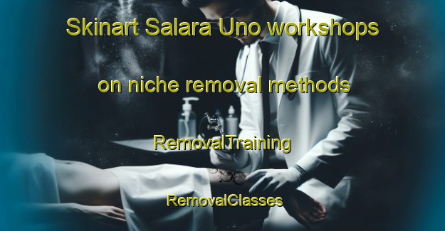 Skinart Salara Uno workshops on niche removal methods | RemovalTraining | RemovalClasses | SkinartTraining-Italy