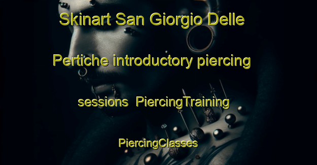 Skinart San Giorgio Delle Pertiche introductory piercing sessions | #PiercingTraining #PiercingClasses #SkinartTraining-Italy