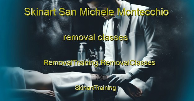 Skinart San Michele Montecchio removal classes | #RemovalTraining #RemovalClasses #SkinartTraining-Italy