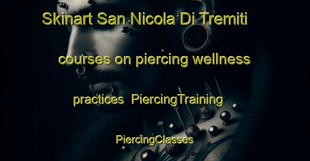 Skinart San Nicola Di Tremiti courses on piercing wellness practices | #PiercingTraining #PiercingClasses #SkinartTraining-Italy