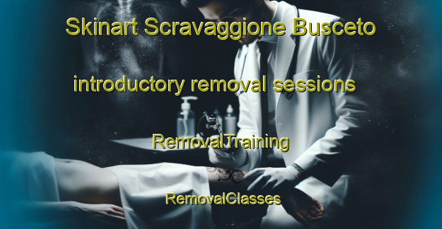 Skinart Scravaggione Busceto introductory removal sessions | RemovalTraining | RemovalClasses | SkinartTraining-Italy
