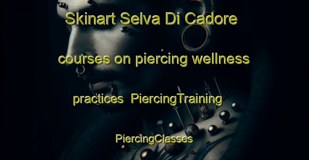 Skinart Selva Di Cadore courses on piercing wellness practices | #PiercingTraining #PiercingClasses #SkinartTraining-Italy