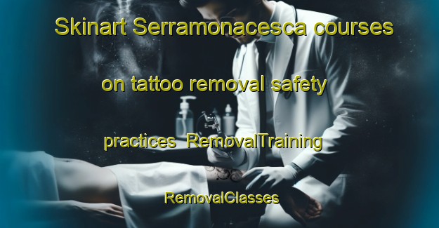 Skinart Serramonacesca courses on tattoo removal safety practices | RemovalTraining | RemovalClasses | SkinartTraining-Italy