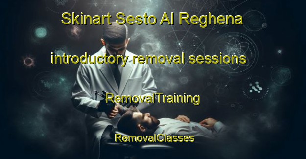 Skinart Sesto Al Reghena introductory removal sessions | RemovalTraining | RemovalClasses | SkinartTraining-Italy