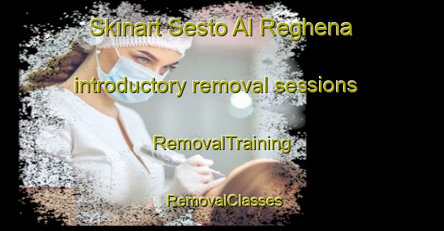 Skinart Sesto Al Reghena introductory removal sessions | RemovalTraining | RemovalClasses | SkinartTraining-Italy
