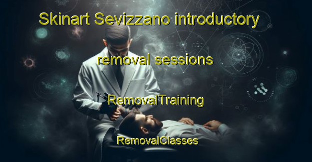 Skinart Sevizzano introductory removal sessions | RemovalTraining | RemovalClasses | SkinartTraining-Italy
