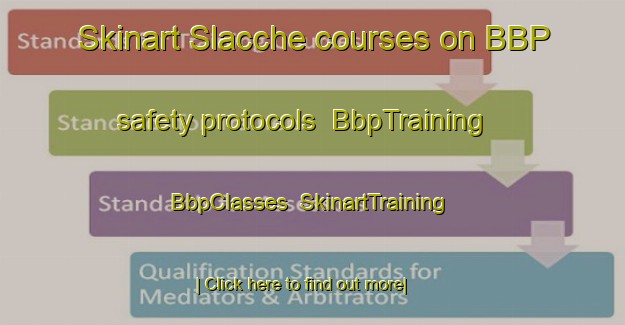 Skinart Slacche courses on BBP safety protocols | BbpTraining | BbpClasses | SkinartTraining-Italy