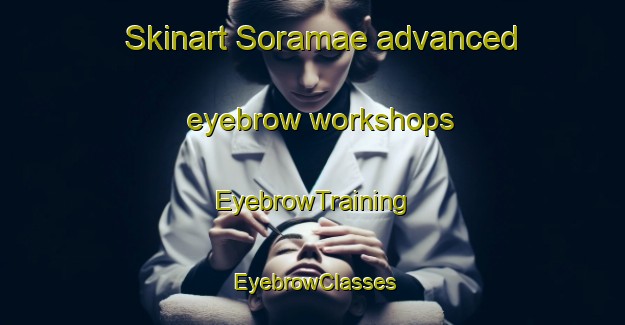 Skinart Soramae advanced eyebrow workshops | EyebrowTraining | EyebrowClasses | SkinartTraining-Italy
