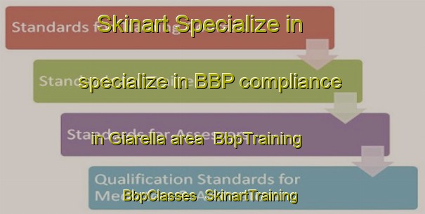 Skinart Specialize in specialize in BBP compliance in Giarella area | BbpTraining | BbpClasses | SkinartTraining-Italy