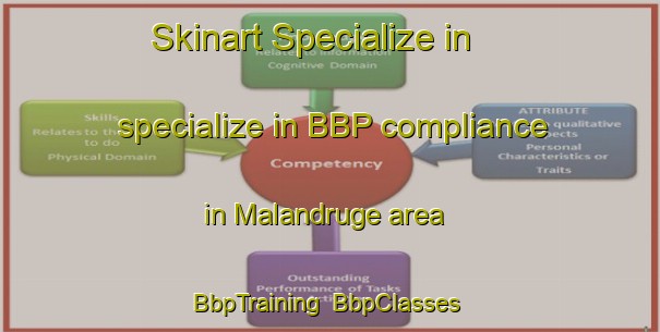 Skinart Specialize in specialize in BBP compliance in Malandruge area | BbpTraining | BbpClasses | SkinartTraining-Italy