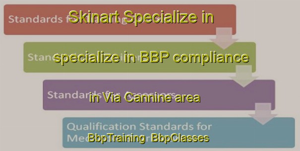 Skinart Specialize in specialize in BBP compliance in Via Cannine area | BbpTraining | BbpClasses | SkinartTraining-Italy