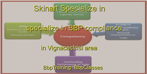 Skinart Specialize in specialize in BBP compliance in Vignacastrisi area | BbpTraining | BbpClasses | SkinartTraining-Italy