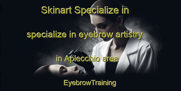 Skinart Specialize in specialize in eyebrow artistry in Aplecchio area | EyebrowTraining | EyebrowClasses | SkinartTraining-Italy