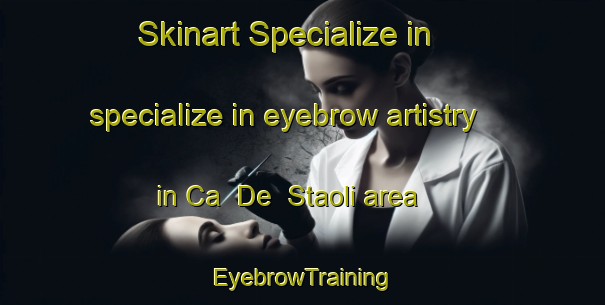 Skinart Specialize in specialize in eyebrow artistry in Ca  De  Staoli area | EyebrowTraining | EyebrowClasses | SkinartTraining-Italy