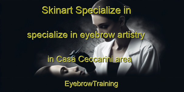 Skinart Specialize in specialize in eyebrow artistry in Casa Ceccarini area | EyebrowTraining | EyebrowClasses | SkinartTraining-Italy