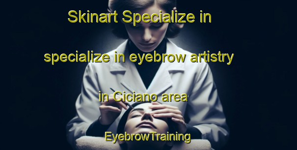 Skinart Specialize in specialize in eyebrow artistry in Ciciano area | EyebrowTraining | EyebrowClasses | SkinartTraining-Italy