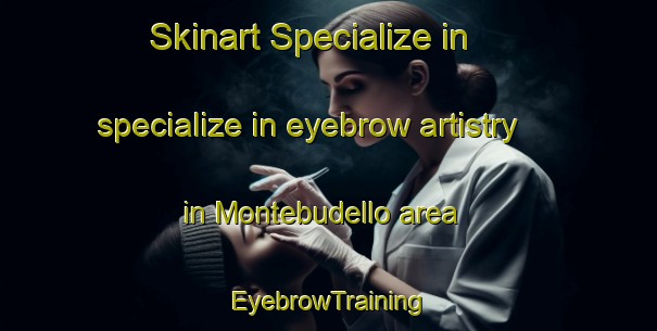 Skinart Specialize in specialize in eyebrow artistry in Montebudello area | EyebrowTraining | EyebrowClasses | SkinartTraining-Italy