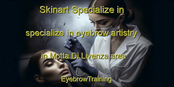 Skinart Specialize in specialize in eyebrow artistry in Motta Di Livenza area | EyebrowTraining | EyebrowClasses | SkinartTraining-Italy
