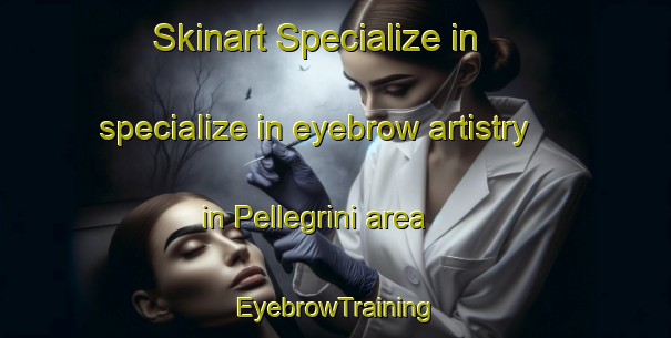Skinart Specialize in specialize in eyebrow artistry in Pellegrini area | EyebrowTraining | EyebrowClasses | SkinartTraining-Italy