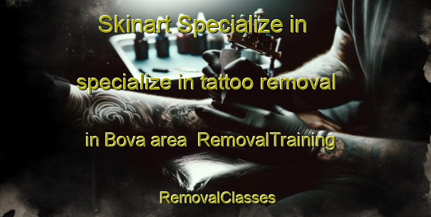 Skinart Specialize in specialize in tattoo removal in Bova area | RemovalTraining | RemovalClasses | SkinartTraining-Italy
