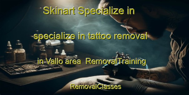 Skinart Specialize in specialize in tattoo removal in Vallo area | RemovalTraining | RemovalClasses | SkinartTraining-Italy