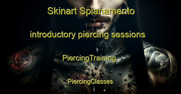 Skinart Spianamento introductory piercing sessions | #PiercingTraining #PiercingClasses #SkinartTraining-Italy