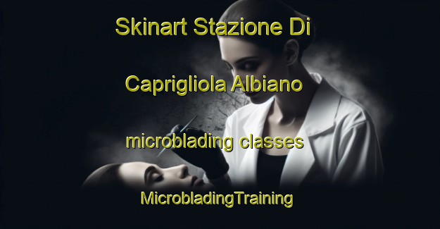 Skinart Stazione Di Caprigliola Albiano microblading classes | #MicrobladingTraining #MicrobladingClasses #SkinartTraining-Italy