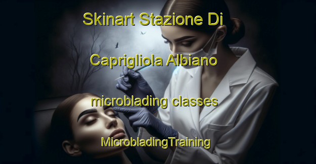 Skinart Stazione Di Caprigliola Albiano microblading classes | #MicrobladingTraining #MicrobladingClasses #SkinartTraining-Italy