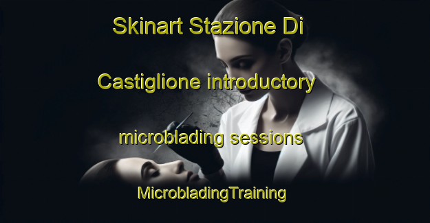 Skinart Stazione Di Castiglione introductory microblading sessions | #MicrobladingTraining #MicrobladingClasses #SkinartTraining-Italy