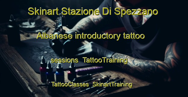 Skinart Stazione Di Spezzano Albanese introductory tattoo sessions | TattooTraining | TattooClasses | SkinartTraining-Italy