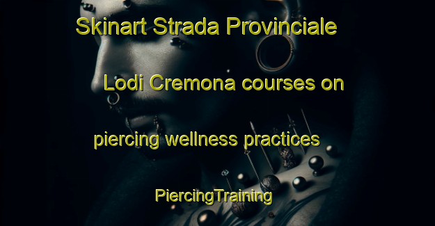 Skinart Strada Provinciale Lodi Cremona courses on piercing wellness practices | #PiercingTraining #PiercingClasses #SkinartTraining-Italy