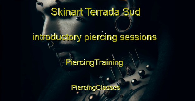 Skinart Terrada Sud introductory piercing sessions | PiercingTraining | PiercingClasses | SkinartTraining-Italy