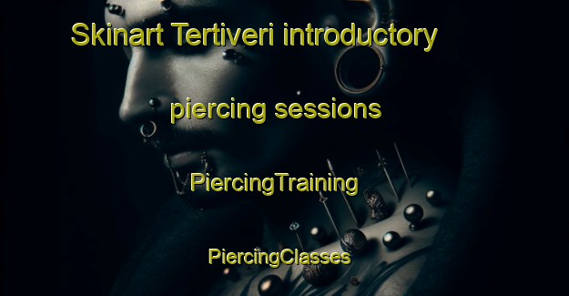 Skinart Tertiveri introductory piercing sessions | PiercingTraining | PiercingClasses | SkinartTraining-Italy