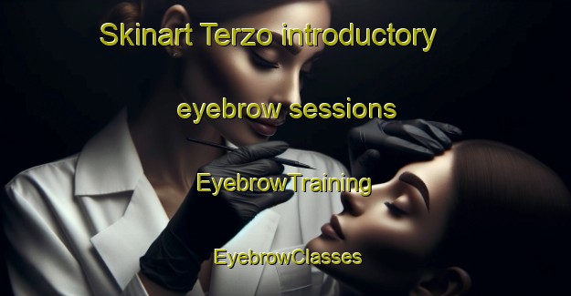 Skinart Terzo introductory eyebrow sessions | EyebrowTraining | EyebrowClasses | SkinartTraining-Italy