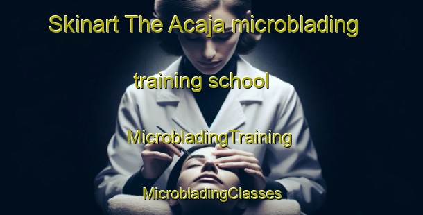 Skinart The Acaja microblading training school | #MicrobladingTraining #MicrobladingClasses #SkinartTraining-Italy