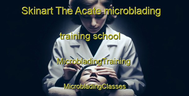 Skinart The Acate microblading training school | #MicrobladingTraining #MicrobladingClasses #SkinartTraining-Italy