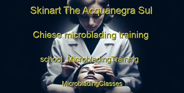 Skinart The Acquanegra Sul Chiese microblading training school | #MicrobladingTraining #MicrobladingClasses #SkinartTraining-Italy