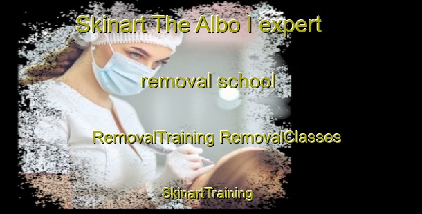 Skinart The Albo I expert removal school | #RemovalTraining #RemovalClasses #SkinartTraining-Italy