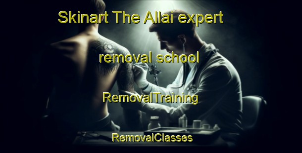 Skinart The Allai expert removal school | RemovalTraining | RemovalClasses | SkinartTraining-Italy