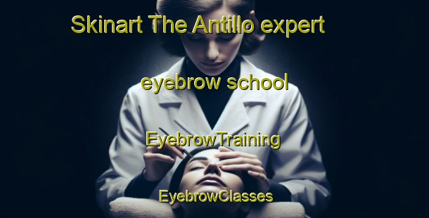 Skinart The Antillo expert eyebrow school | EyebrowTraining | EyebrowClasses | SkinartTraining-Italy