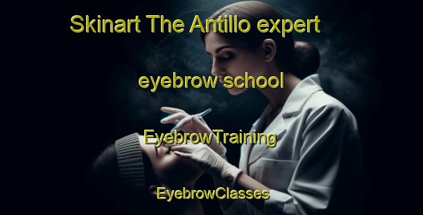 Skinart The Antillo expert eyebrow school | EyebrowTraining | EyebrowClasses | SkinartTraining-Italy