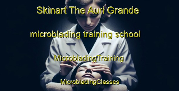 Skinart The Auri Grande microblading training school | #MicrobladingTraining #MicrobladingClasses #SkinartTraining-Italy