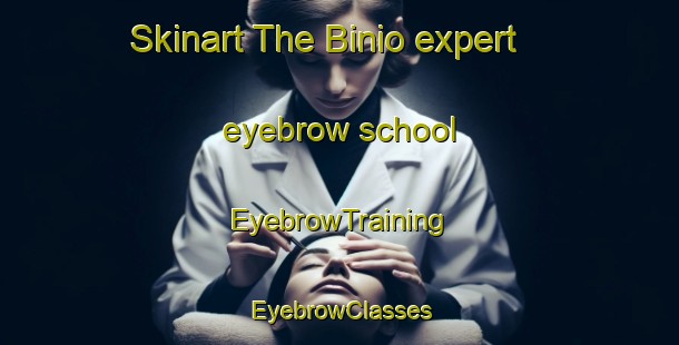 Skinart The Binio expert eyebrow school | EyebrowTraining | EyebrowClasses | SkinartTraining-Italy