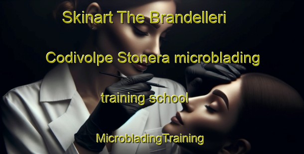 Skinart The Brandelleri Codivolpe Stonera microblading training school | #MicrobladingTraining #MicrobladingClasses #SkinartTraining-Italy