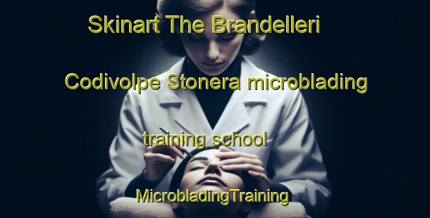 Skinart The Brandelleri Codivolpe Stonera microblading training school | #MicrobladingTraining #MicrobladingClasses #SkinartTraining-Italy